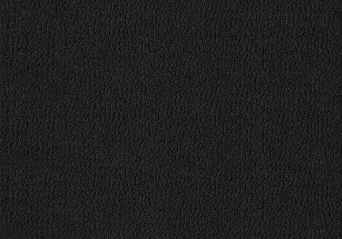 Astor Black Leather-Look Dining Chair (Set of 2) | Ortholuxe Home - Photo 11