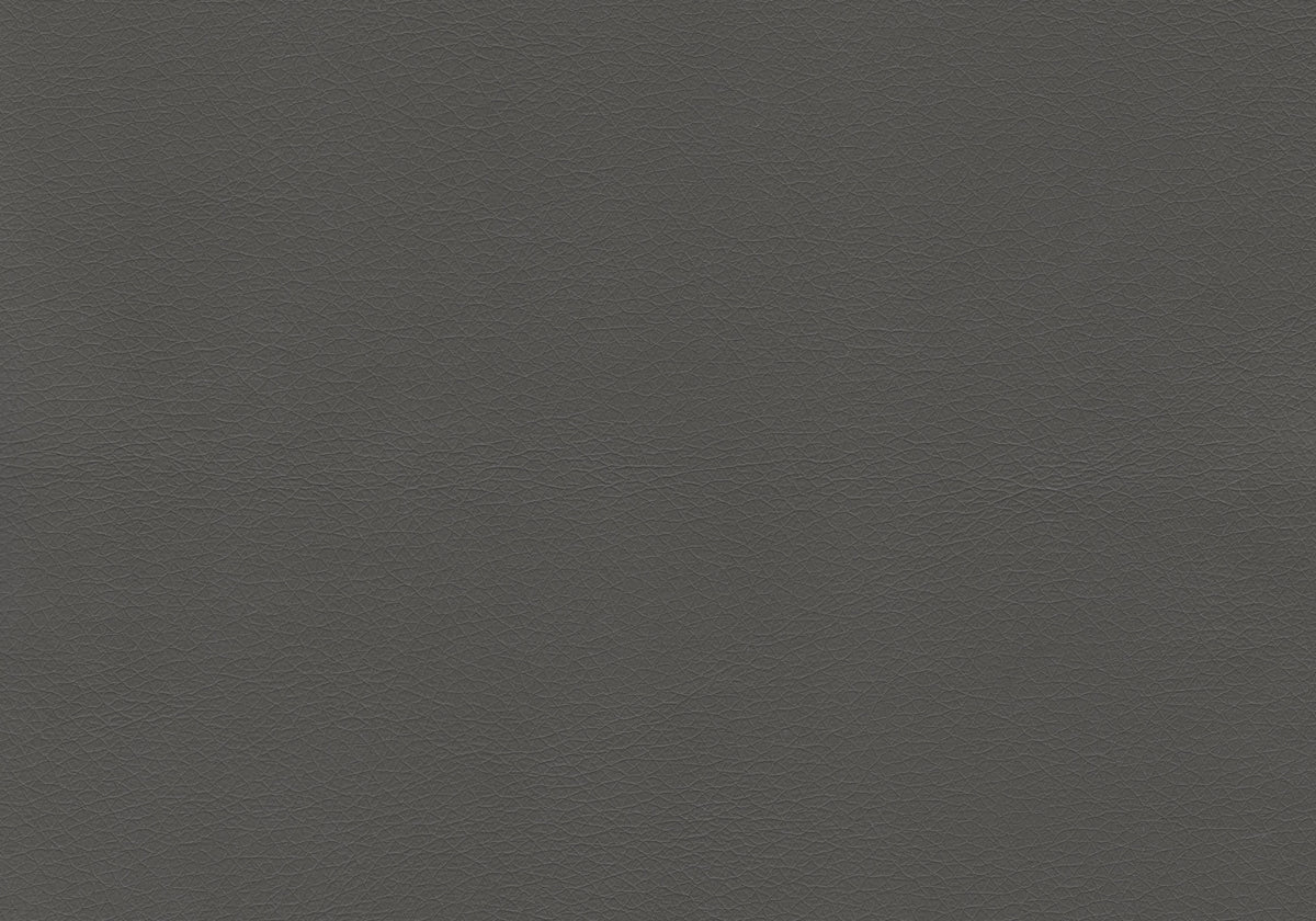 Dorian Grey Leather-Look & Black Metal Dining Chair (Set of 2) | Ortholuxe Home - Photo 3