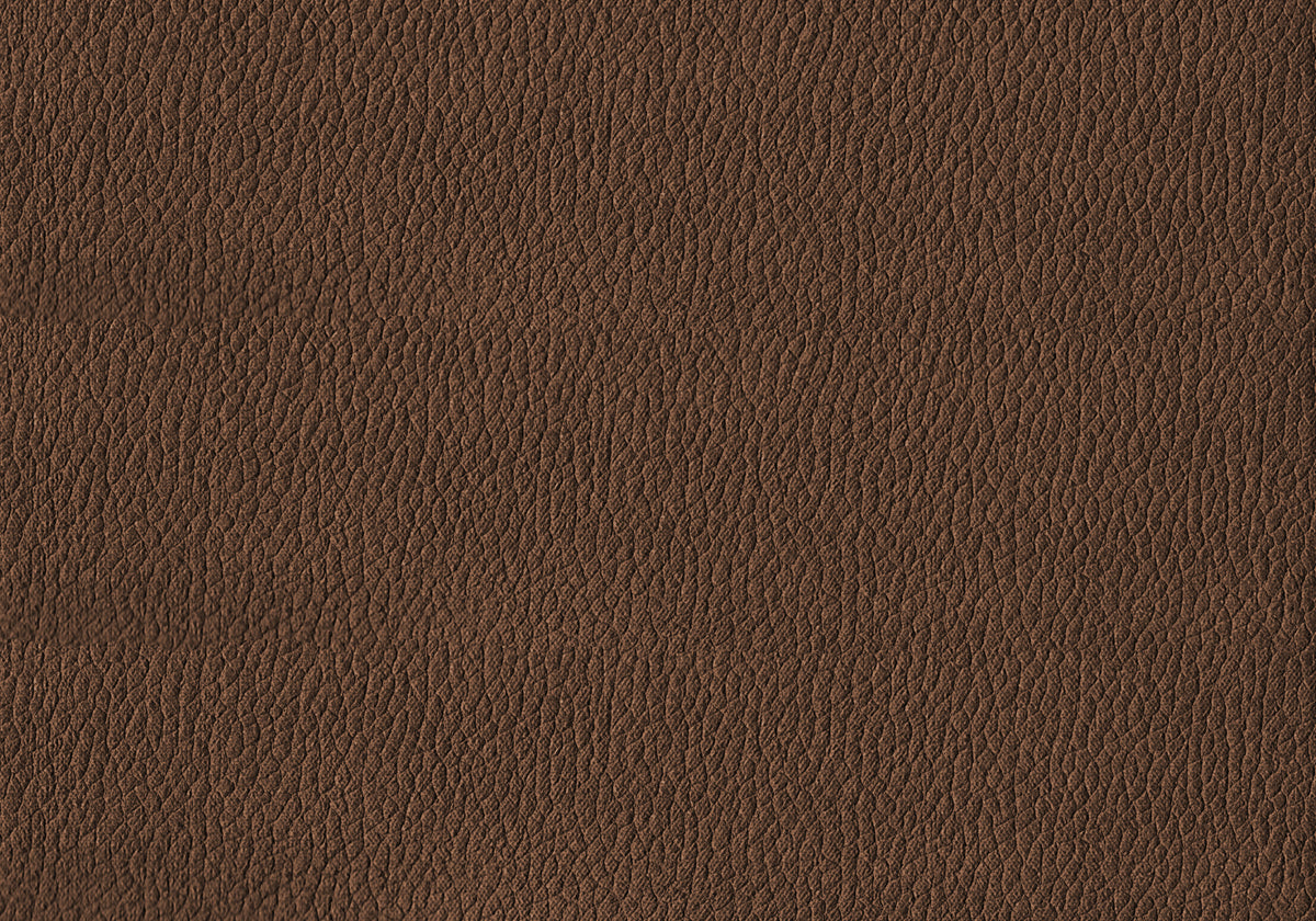 Dorian Light Brown Leather-Look Dining Chair (Set of 2) | Ortholuxe Home - Photo 11