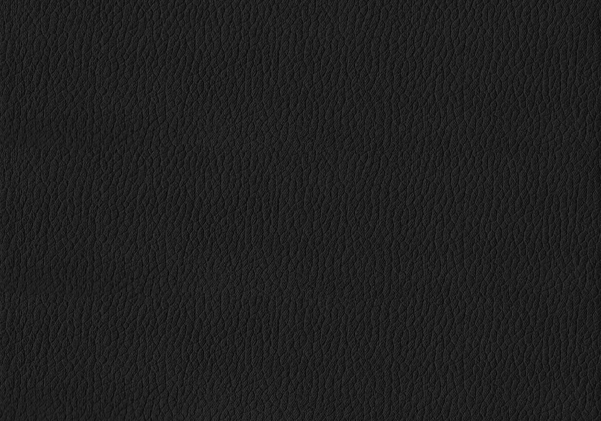 Emory Black Leather-Look & Black Metal Dining Chair (Set of 2) | Ortholuxe Home - Photo 3