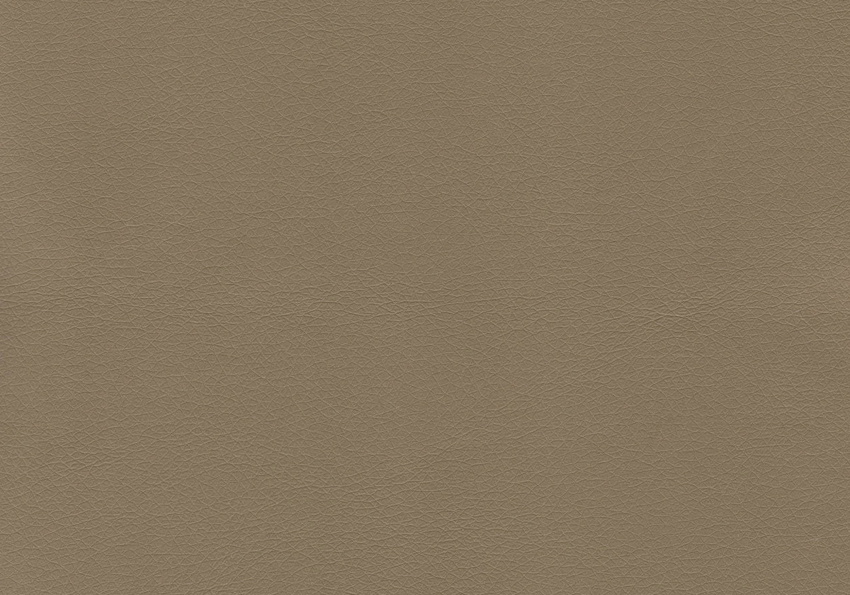 Pearl Dark Taupe Leather-Look & Metal Dining Chair (Set of 2) | Ortholuxe Home - Photo 3