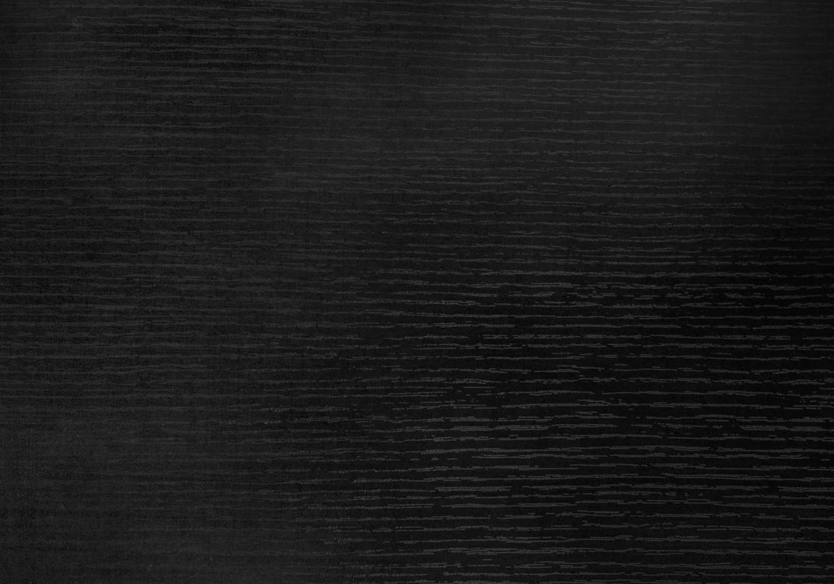 Alder Black Wood-Look TV Stand with Storage | Ortholuxe Home - Photo 10